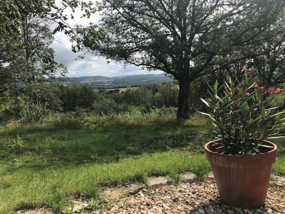 Maison De Bois En Pleine Nature A 20 Min De Beaune Montceau-et-Echarnant Ngoại thất bức ảnh
